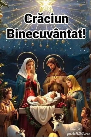 Vand culegatore porumb  - imagine 9