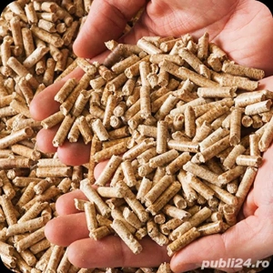 PELEȚI NATURALI Rășinoase & Fag 15kg - Brăila, livrare județ