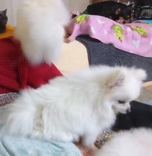 Doar pentru persoane responsabile