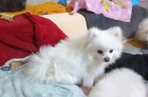 Doar pentru persoane responsabile - imagine 2