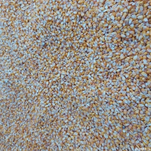 Vand porumb - imagine 5