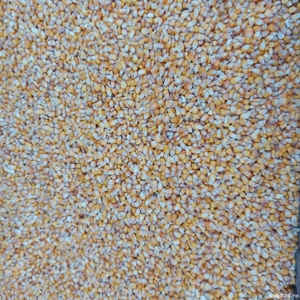 Vand porumb - imagine 3