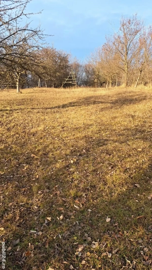 Vand teren extravilan Suici - Arges