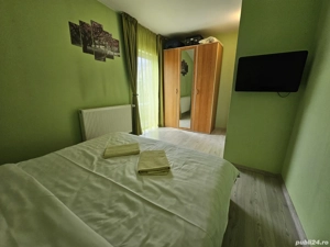 Cabana cu ciubar in zona Tocile (Sadu) - imagine 10