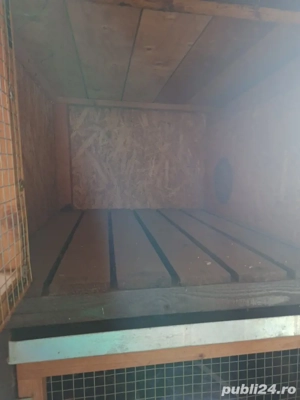 Vand cusca pt iepuri talie mare . - imagine 2