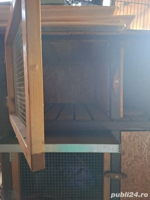 Vand cusca pt iepuri talie mare . - imagine 4