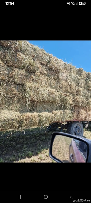 Baloti de lucernă dreptunghiulari 