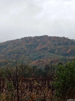 Casa satRostoci com. Plescuta jus. Arad - imagine 9