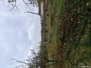 Casă de vânzare în Stoenești Olt - imagine 9