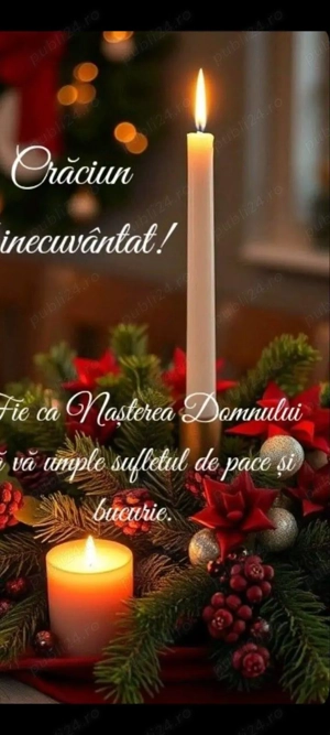 Yorkshire Terrier Toy  - imagine 3