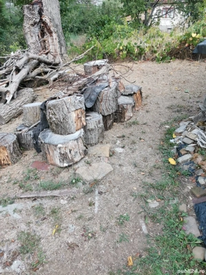 Vand lemne de foc - imagine 2