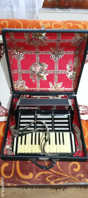 Acordeon pentru copii 