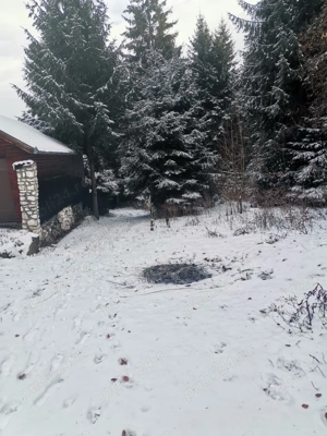 Vand teren intravilan - imagine 4