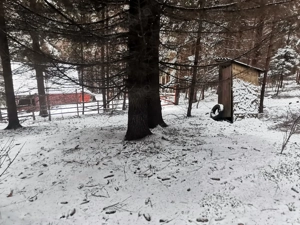 Vand teren intravilan - imagine 2