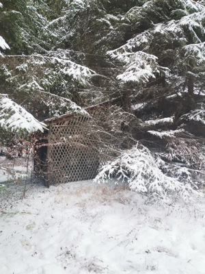 Vand teren intravilan - imagine 3