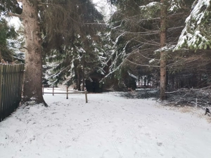 Vand teren intravilan - imagine 6