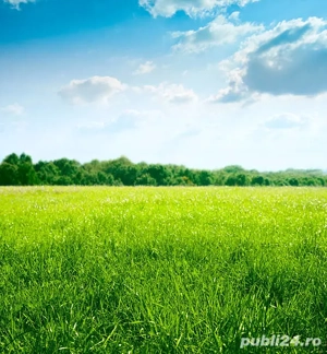 Vând teren, Unguraș 