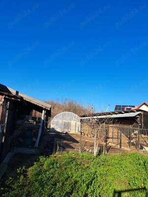 Vand casa la tara in zona linistita - imagine 6