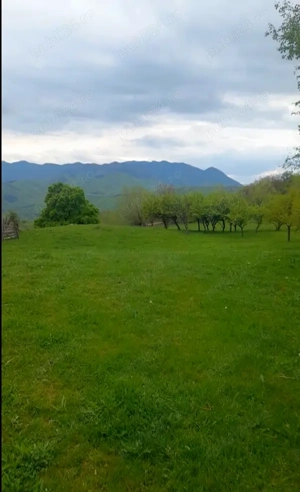 Vand teren 25000 mp Berislavesti, sat Radacinesti punct Dealul Boului - imagine 3