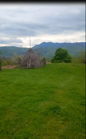 Vand teren 25000 mp Berislavesti, sat Radacinesti punct Dealul Boului