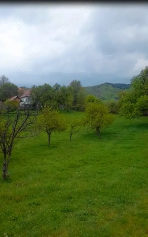 Vand teren 25000 mp Berislavesti, sat Radacinesti punct Dealul Boului - imagine 2