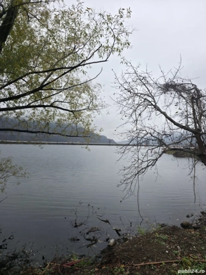 Teren Cozla berzasca