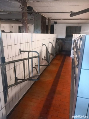 Vand sală de muls vaci  - imagine 4