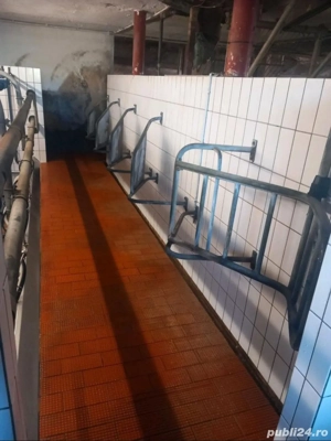 Vand sală de muls vaci  - imagine 3