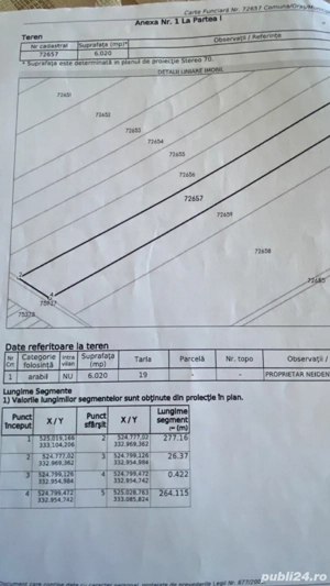 Teren agricol 15000 mp front la DJ 611 - imagine 4