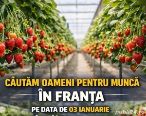 Angajăm.cupliri in franța 