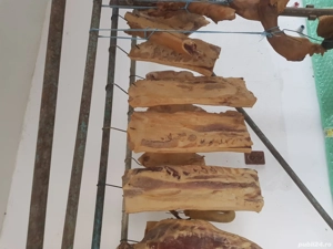 Vand slanina (clisa)porci bazna  - imagine 2