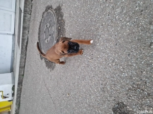 de vanzare - imagine 2