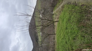 Casa de vanzare Babadag