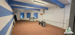 Casa individuala de vanzare - zona Domenii - imagine 10