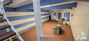 Casa individuala de vanzare - zona Domenii - imagine 12