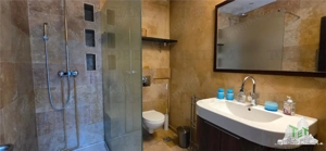 Casa individuala de vanzare - zona Domenii - imagine 6