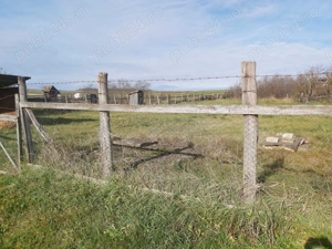 Casa 307 mp + teren de vanzare Jud. Mures - imagine 2