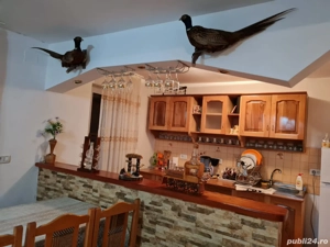 Cabană Revelion Disponibilă  - imagine 7