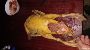 vănd urgent sau schimb 