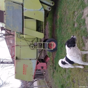 Combină claas mercator 75 - imagine 6