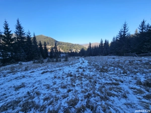 Teren extravilan de vânzare înconjurat de pădure in Bucovina zona Breaza - imagine 3