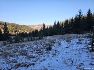Teren extravilan de vânzare înconjurat de pădure in Bucovina zona Breaza - imagine 6