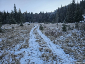 Teren extravilan de vânzare înconjurat de pădure in Bucovina zona Breaza - imagine 4