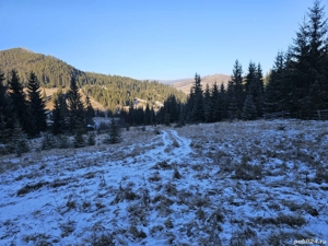 Teren extravilan de vânzare înconjurat de pădure in Bucovina zona Breaza - imagine 2