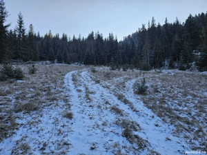 Teren extravilan de vânzare înconjurat de pădure in Bucovina zona Breaza - imagine 8