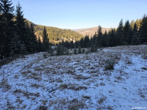 Teren extravilan de vânzare înconjurat de pădure in Bucovina zona Breaza - imagine 5