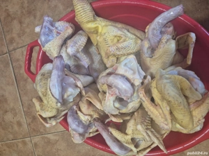 Cocosi tineri taiati 