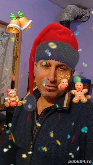 Fox terier sirmos  - imagine 3