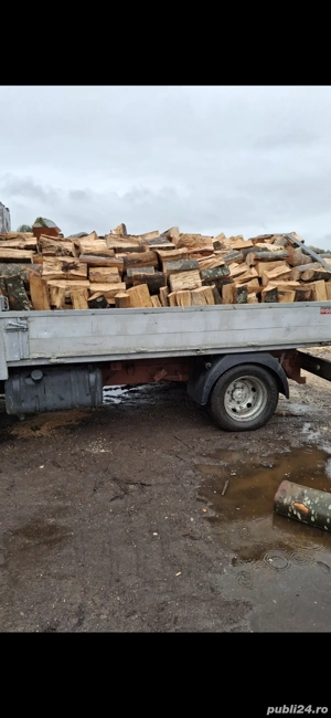 Lemne de foc fag, aduc și tăiate la orice dimensiune doriți. 