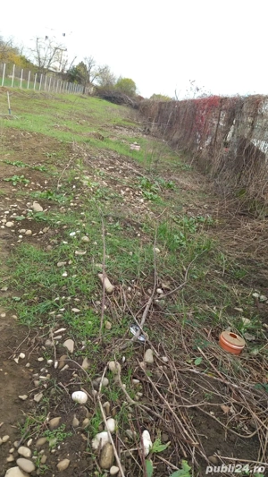 Teren de vânzare - imagine 3